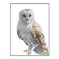 Picture of Watercolour Owl  _GroupedProduct_Rectangle_Portrait_Canvas_Framed_