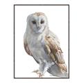 Picture of Watercolour Owl  _GroupedProduct_Rectangle_Portrait_Canvas_Framed_
