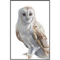 Picture of Watercolour Owl  _GroupedProduct_Rectangle_Portrait_Canvas_Framed_