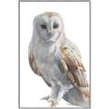 Picture of Watercolour Owl  _GroupedProduct_Rectangle_Portrait_Canvas_Framed_