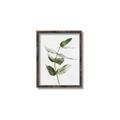 Picture of Green Leaves I  _GroupedProduct_Rectangle_Portrait_Canvas_Framed_
