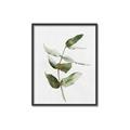 Picture of Green Leaves I  _GroupedProduct_Rectangle_Portrait_Canvas_Framed_