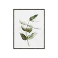 Picture of Green Leaves I  _GroupedProduct_Rectangle_Portrait_Canvas_Framed_