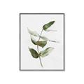 Picture of Green Leaves I  _GroupedProduct_Rectangle_Portrait_Canvas_Framed_