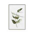 Picture of Green Leaves I  _GroupedProduct_Rectangle_Portrait_Canvas_Framed_