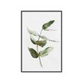 Picture of Green Leaves I  _GroupedProduct_Rectangle_Portrait_Canvas_Framed_