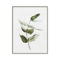 Picture of Green Leaves I  _GroupedProduct_Rectangle_Portrait_Canvas_Framed_