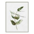 Picture of Green Leaves I  _GroupedProduct_Rectangle_Portrait_Canvas_Framed_