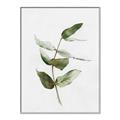 Picture of Green Leaves I  _GroupedProduct_Rectangle_Portrait_Canvas_Framed_