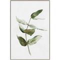 Picture of Green Leaves I  _GroupedProduct_Rectangle_Portrait_Canvas_Framed_