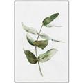 Picture of Green Leaves I  _GroupedProduct_Rectangle_Portrait_Canvas_Framed_