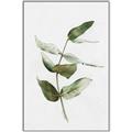 Picture of Green Leaves I  _GroupedProduct_Rectangle_Portrait_Canvas_Framed_