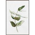 Picture of Green Leaves I  _GroupedProduct_Rectangle_Portrait_Canvas_Framed_
