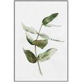 Picture of Green Leaves I  _GroupedProduct_Rectangle_Portrait_Canvas_Framed_