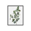 Picture of Green Leaves II  _GroupedProduct_Rectangle_Portrait_Canvas_Framed_