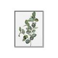 Picture of Green Leaves II  _GroupedProduct_Rectangle_Portrait_Canvas_Framed_