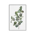 Picture of Green Leaves II  _GroupedProduct_Rectangle_Portrait_Canvas_Framed_