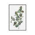 Picture of Green Leaves II  _GroupedProduct_Rectangle_Portrait_Canvas_Framed_