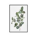 Picture of Green Leaves II  _GroupedProduct_Rectangle_Portrait_Canvas_Framed_