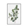 Picture of Green Leaves II  _GroupedProduct_Rectangle_Portrait_Canvas_Framed_