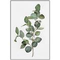 Picture of Green Leaves II  _GroupedProduct_Rectangle_Portrait_Canvas_Framed_
