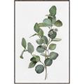 Picture of Green Leaves II  _GroupedProduct_Rectangle_Portrait_Canvas_Framed_