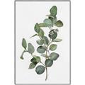 Picture of Green Leaves II  _GroupedProduct_Rectangle_Portrait_Canvas_Framed_