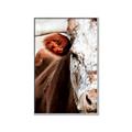 Picture of Brown & black Cattle _GroupedProduct_Rectangle_Portrait_Photography _GroupedProduct_Rectangle_Portrait_Canvas_Framed_