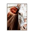 Picture of Brown & black Cattle _GroupedProduct_Rectangle_Portrait_Photography _GroupedProduct_Rectangle_Portrait_Canvas_Framed_