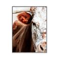 Picture of Brown & black Cattle _GroupedProduct_Rectangle_Portrait_Photography _GroupedProduct_Rectangle_Portrait_Canvas_Framed_