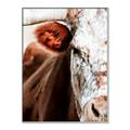Picture of Brown & black Cattle _GroupedProduct_Rectangle_Portrait_Photography _GroupedProduct_Rectangle_Portrait_Canvas_Framed_