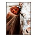 Picture of Brown & black Cattle _GroupedProduct_Rectangle_Portrait_Photography _GroupedProduct_Rectangle_Portrait_Canvas_Framed_