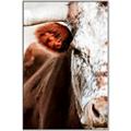 Picture of Brown & black Cattle _GroupedProduct_Rectangle_Portrait_Photography _GroupedProduct_Rectangle_Portrait_Canvas_Framed_