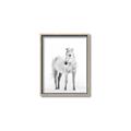 Picture of Solo White Horse _GroupedProduct_Rectangle_Portrait_Photography _GroupedProduct_Rectangle_Portrait_Canvas_Framed_