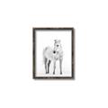 Picture of Solo White Horse _GroupedProduct_Rectangle_Portrait_Photography _GroupedProduct_Rectangle_Portrait_Canvas_Framed_