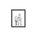 Picture of Solo White Horse _GroupedProduct_Rectangle_Portrait_Photography _GroupedProduct_Rectangle_Portrait_Canvas_Framed_