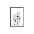 Picture of Solo White Horse _GroupedProduct_Rectangle_Portrait_Photography _GroupedProduct_Rectangle_Portrait_Canvas_Framed_