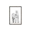 Picture of Solo White Horse _GroupedProduct_Rectangle_Portrait_Photography _GroupedProduct_Rectangle_Portrait_Canvas_Framed_