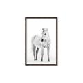 Picture of Solo White Horse _GroupedProduct_Rectangle_Portrait_Photography _GroupedProduct_Rectangle_Portrait_Canvas_Framed_