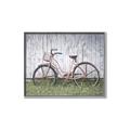 Picture of Pink bike _GroupedProduct_Rectangle_Landscape_Photography _GroupedProduct_Rectangle_Landscape_Canvas_Framed_