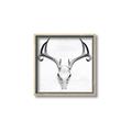 Picture of Cranial Bone ll   _GroupedProduct_Square_Canvas_Framed_