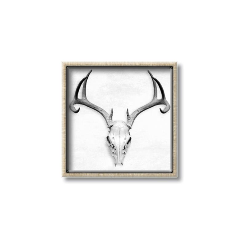 Picture of Cranial Bone ll   _GroupedProduct_Square_Canvas_Framed_