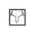 Picture of Cranial Bone ll   _GroupedProduct_Square_Canvas_Framed_