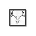 Picture of Cranial Bone ll   _GroupedProduct_Square_Canvas_Framed_