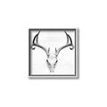 Picture of Cranial Bone ll   _GroupedProduct_Square_Canvas_Framed_