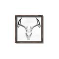Picture of Cranial Bone ll   _GroupedProduct_Square_Canvas_Framed_