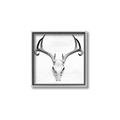 Picture of Cranial Bone ll   _GroupedProduct_Square_Canvas_Framed_