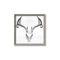 Picture of Cranial Bone ll   _GroupedProduct_Square_Canvas_Framed_