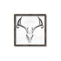 Picture of Cranial Bone ll   _GroupedProduct_Square_Canvas_Framed_