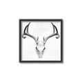 Picture of Cranial Bone ll   _GroupedProduct_Square_Canvas_Framed_